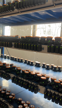 Chất lượng kiểm tra