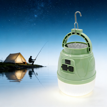 C&acirc;u c&aacute; đ&ecirc;m