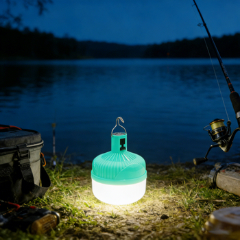 C&acirc;u c&aacute; đ&ecirc;m